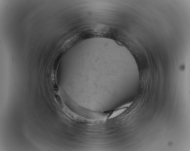 X0000098210137200805151302