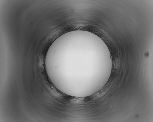 X0000098210138200805151302