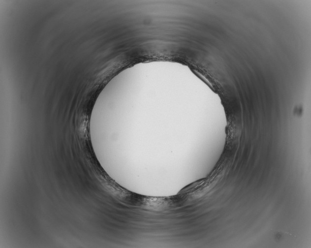 X0000098210141200805151302