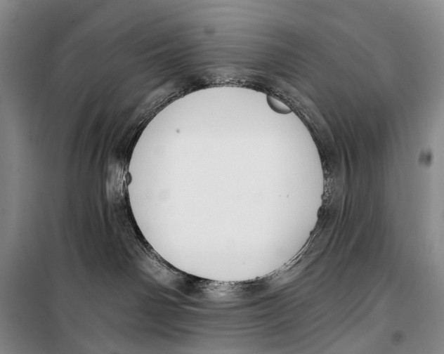X0000098210142200805151302