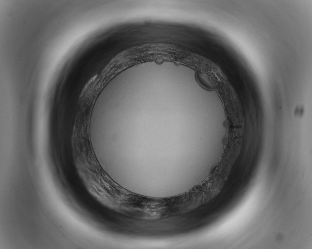 X0000098210143200805151302
