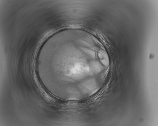X0000098210145200805151301
