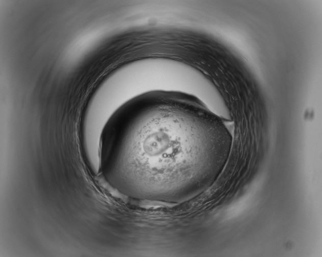X0000098210146200805151301