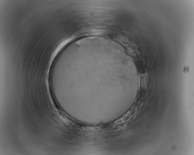 X0000098210147200805151301
