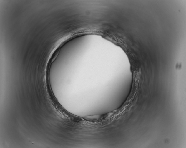 X0000098210148200805151301