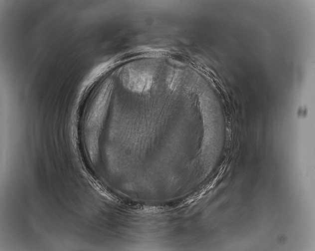 X0000098210149200805151301