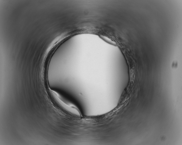 X0000098210150200805151301