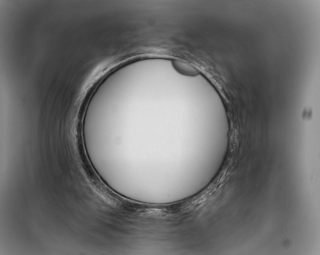 X0000098210151200805151301