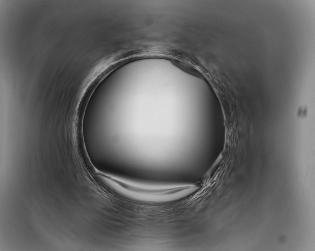 X0000098210152200805151301