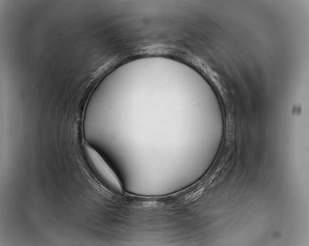 X0000098210153200805151301