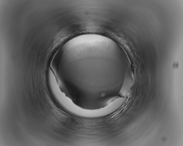 X0000098210154200805151301