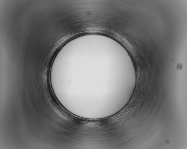 X0000098210155200805151301