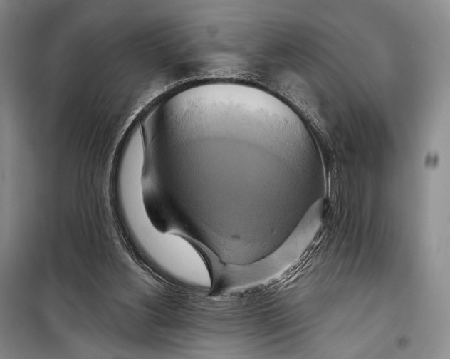 X0000098210156200805151301