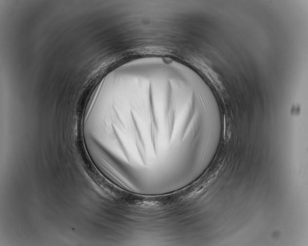 X0000098210157200805151301