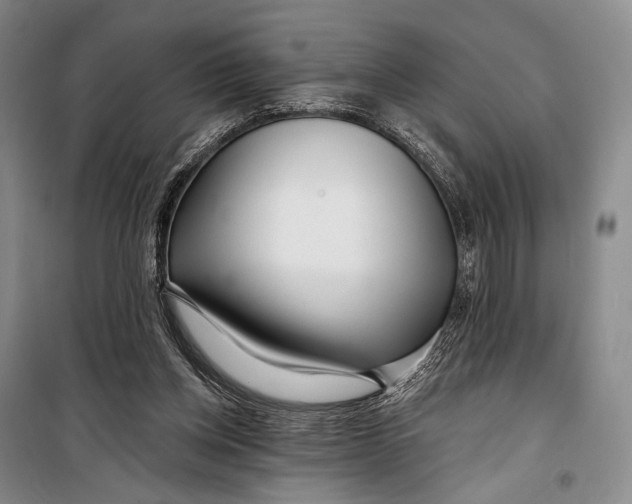 X0000098210158200805151301