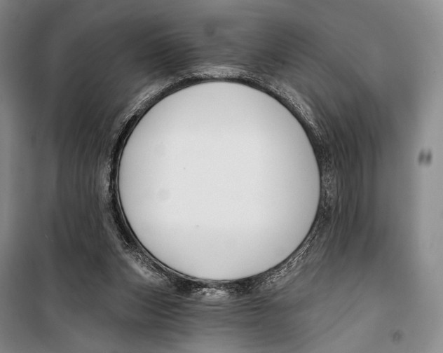 X0000098210159200805151301