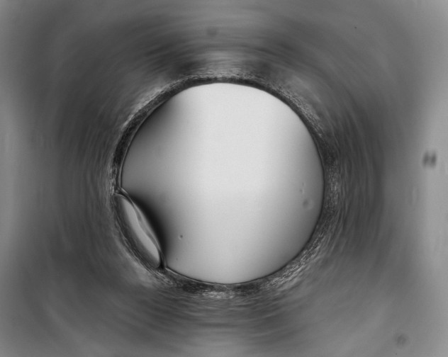 X0000098210160200805151301
