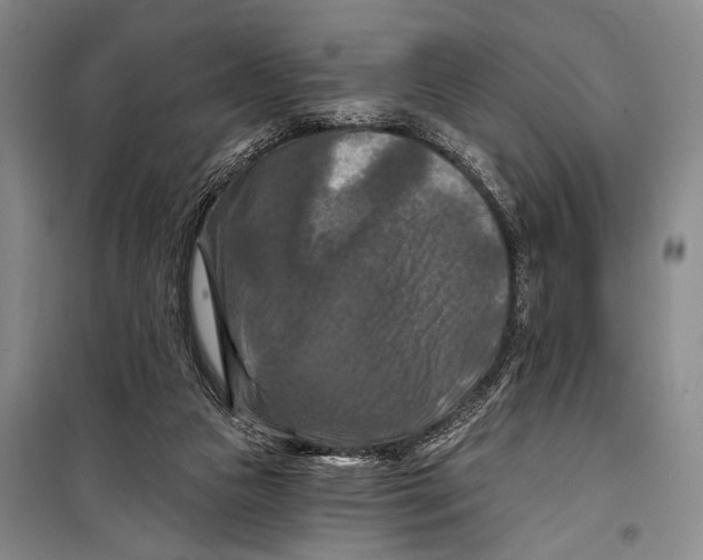 X0000098210161200805151301