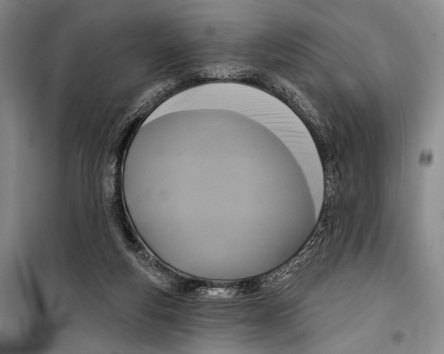 X0000098210163200805151301