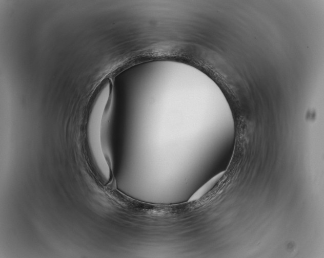 X0000098210164200805151301