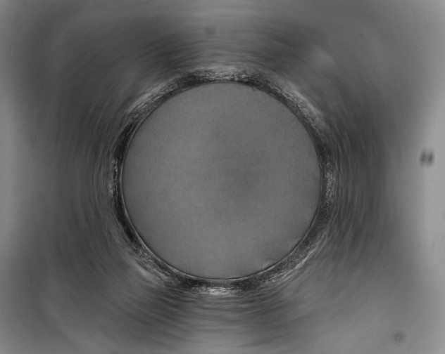 X0000098210165200805151301