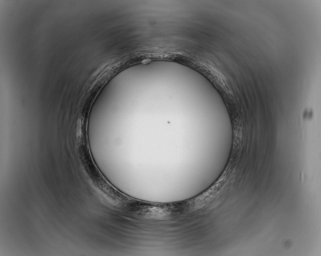 X0000098210166200805151301