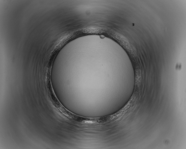 X0000098210167200805151301