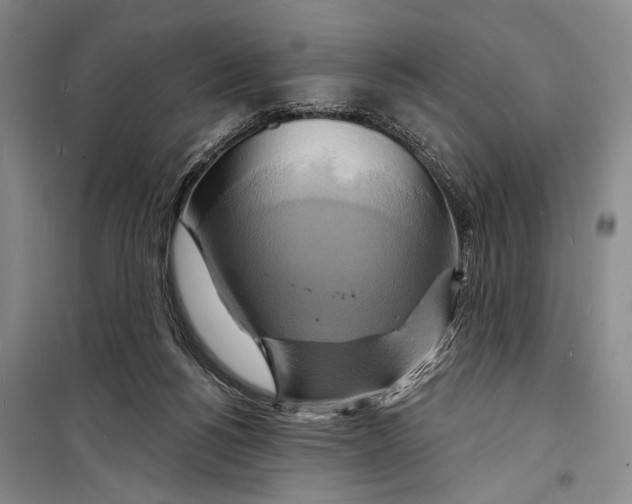 X0000098210168200805151301