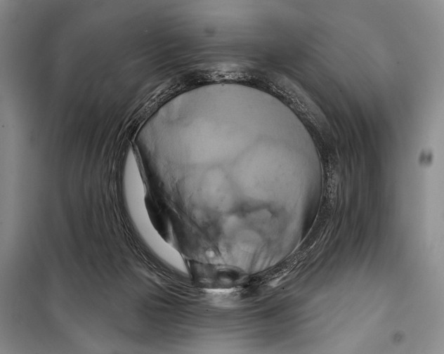 X0000098210169200805151301