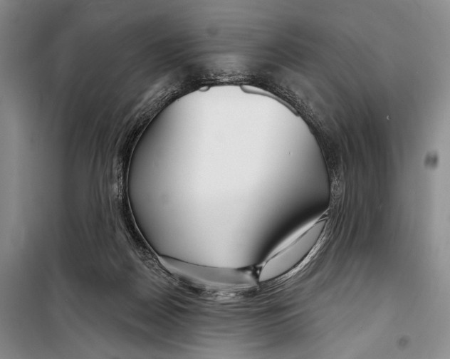 X0000098210170200805151301