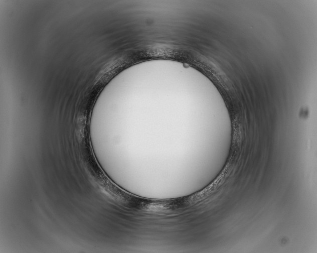 X0000098210171200805151301