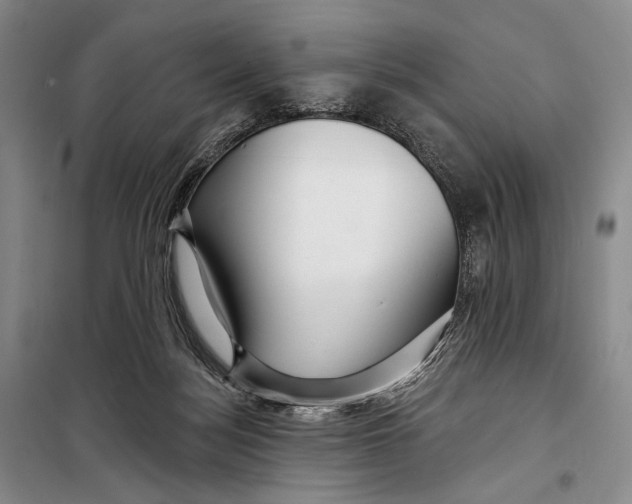 X0000098210172200805151301