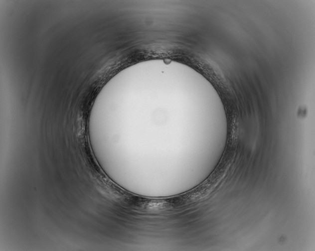 X0000098210173200805151301