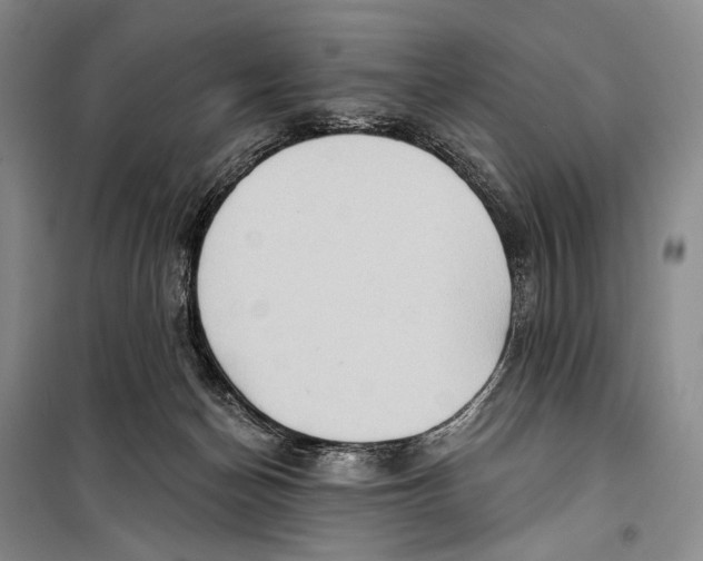 X0000098210174200805151301