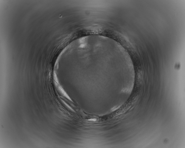 X0000098210177200805151301