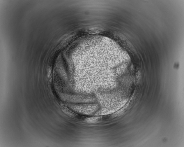 X0000098210178200805151301