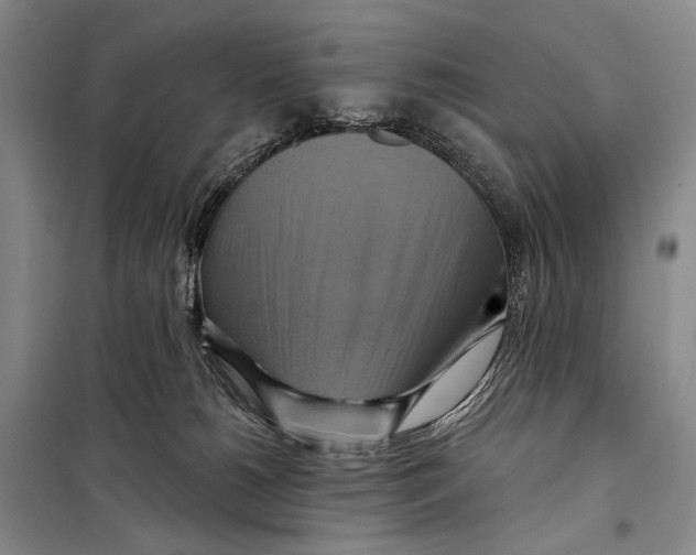 X0000098210180200805151301