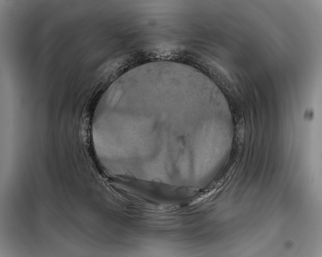 X0000098210181200805151301