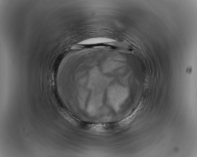 X0000098210182200805151302