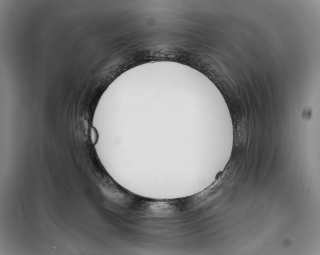 X0000098210183200805151302