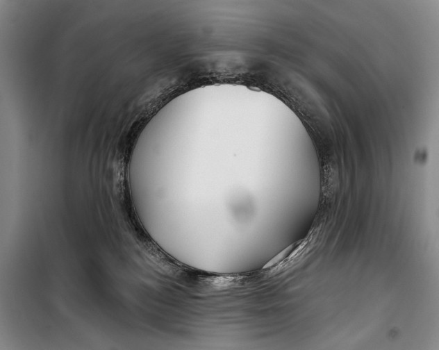 X0000098210184200805151302
