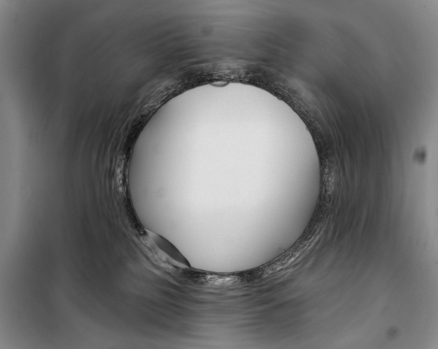 X0000098210185200805151302