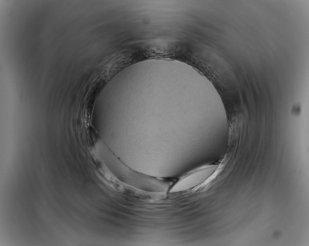 X0000098210186200805151302