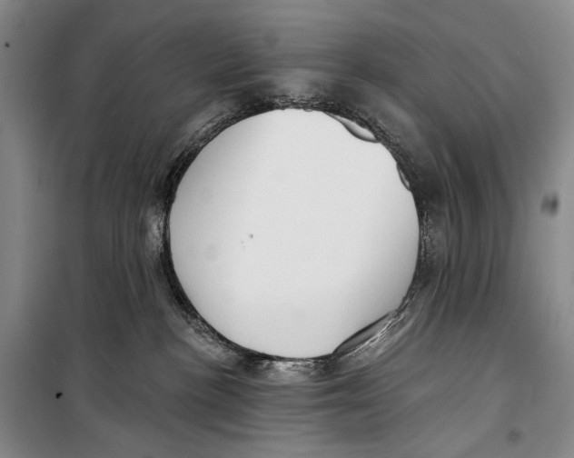 X0000098210188200805151302
