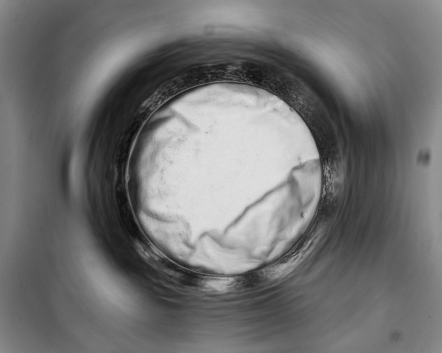 X0000098210189200805151302