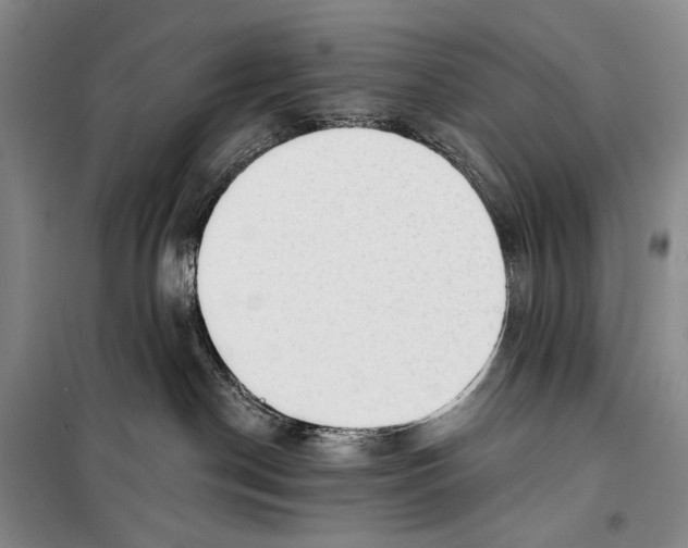 X0000098210190200805151302