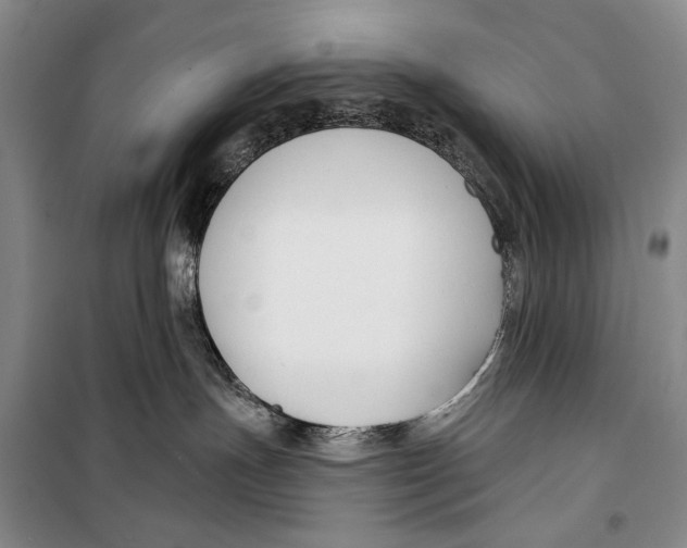 X0000098210191200805151302