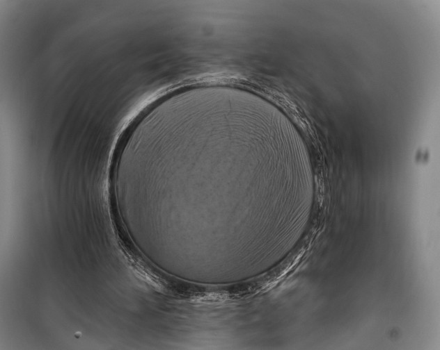 X0000098210196200805151301