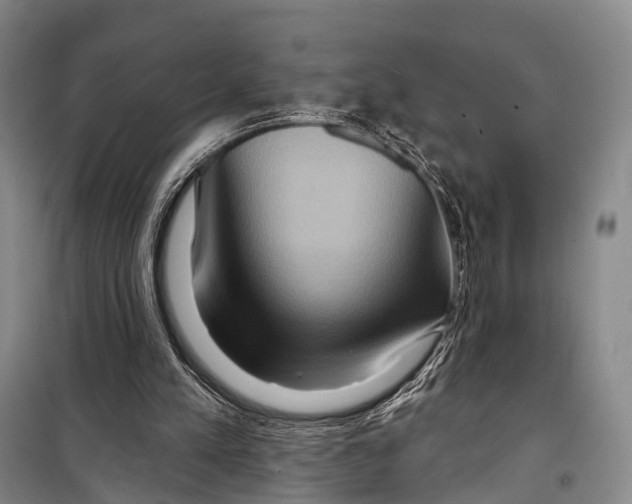X0000098210197200805151301