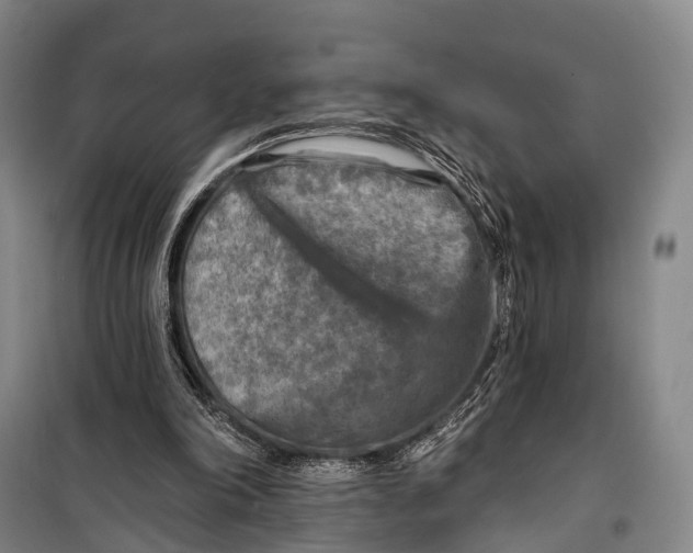 X0000098210198200805151301